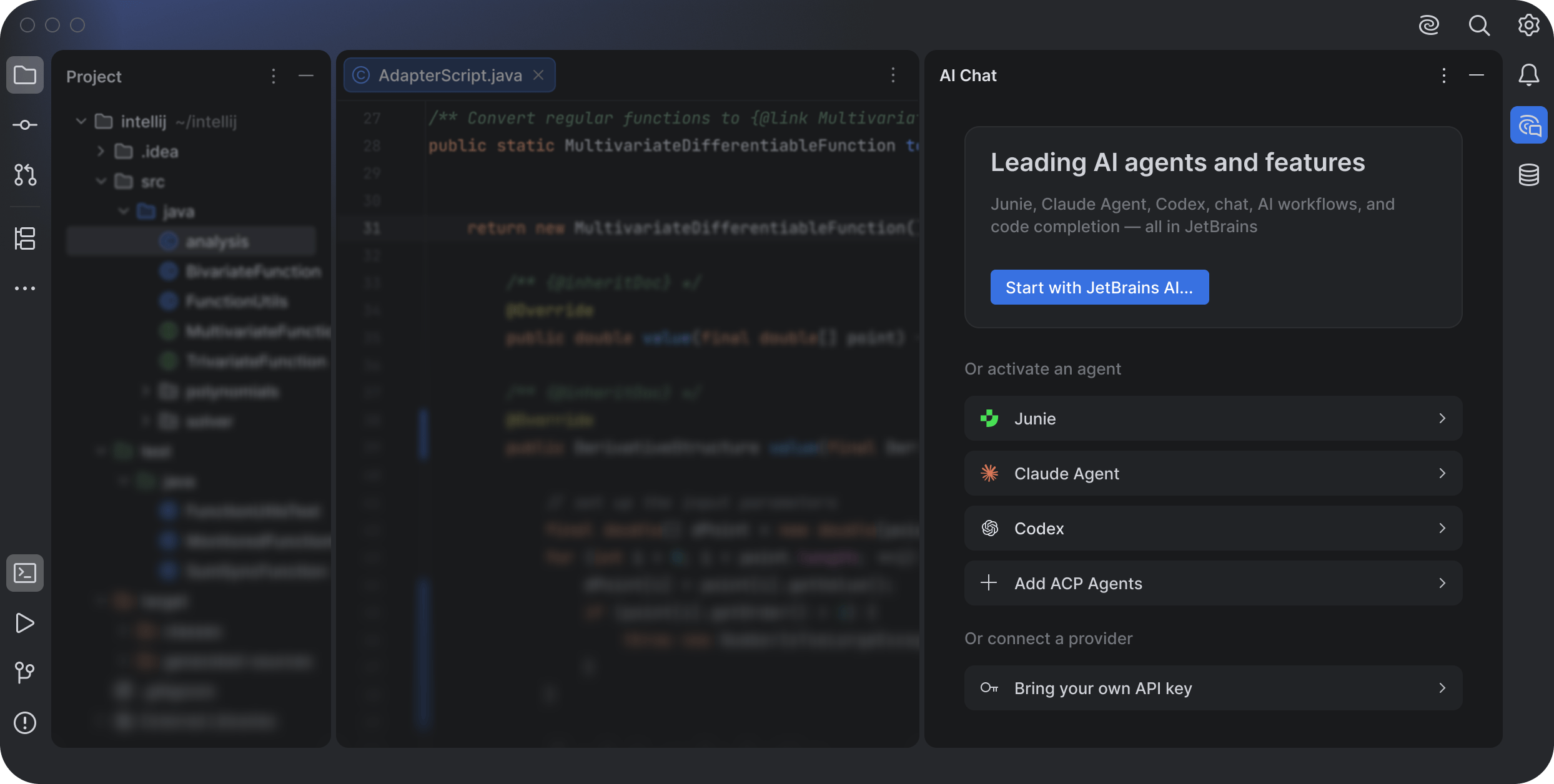 Официальный интерфейс или экран сервиса JetBrains AI Assistant и Junie