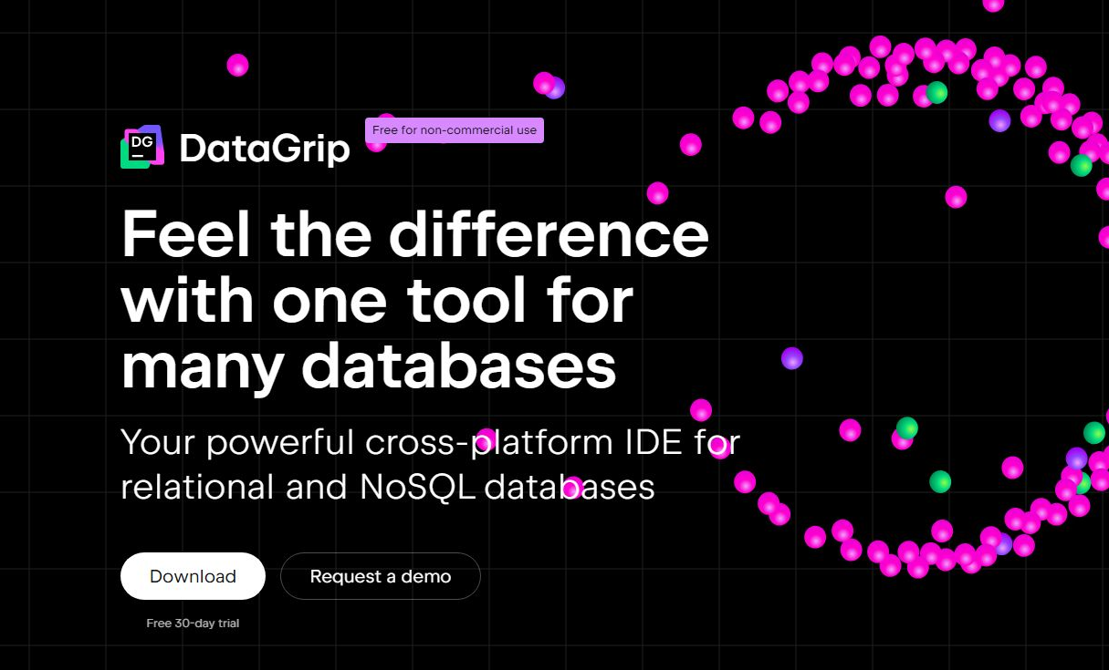главный экран официального сайта DataGrip