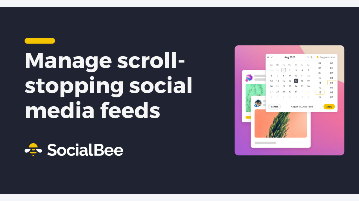 возможности SocialBee