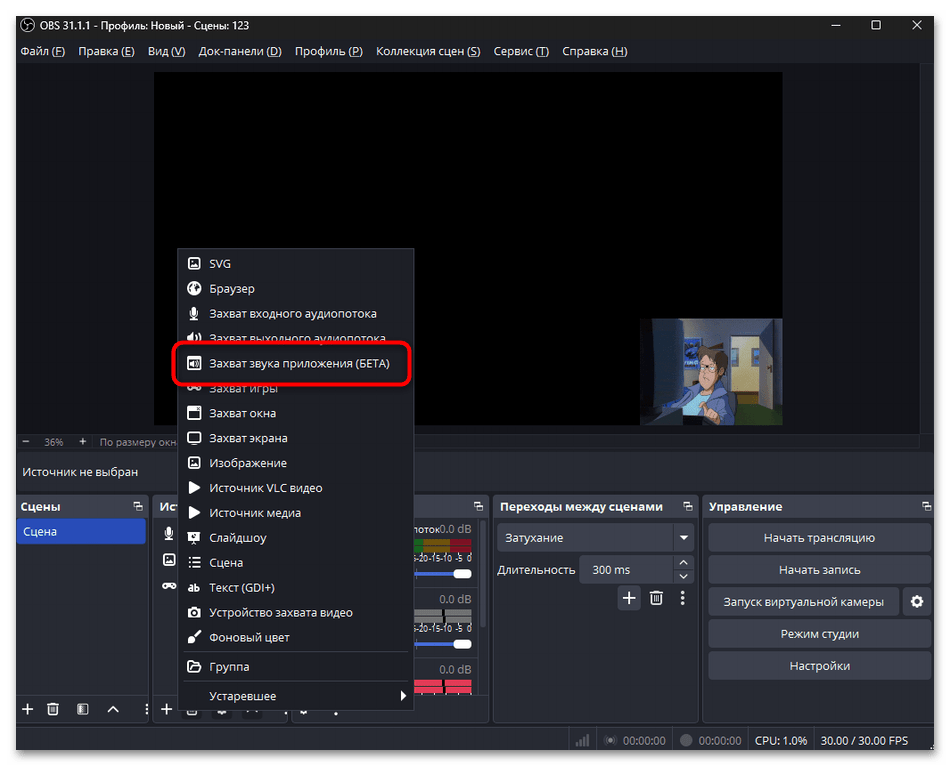 выберите «Захват звука приложения (BETA)»