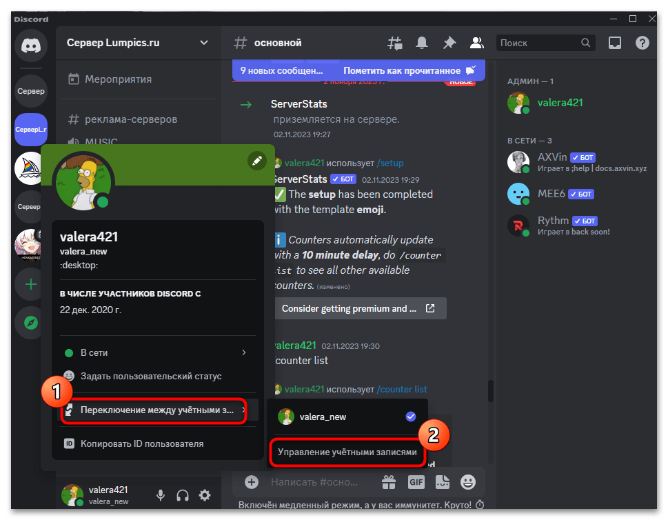 discord_upravlenie_profilyami_1