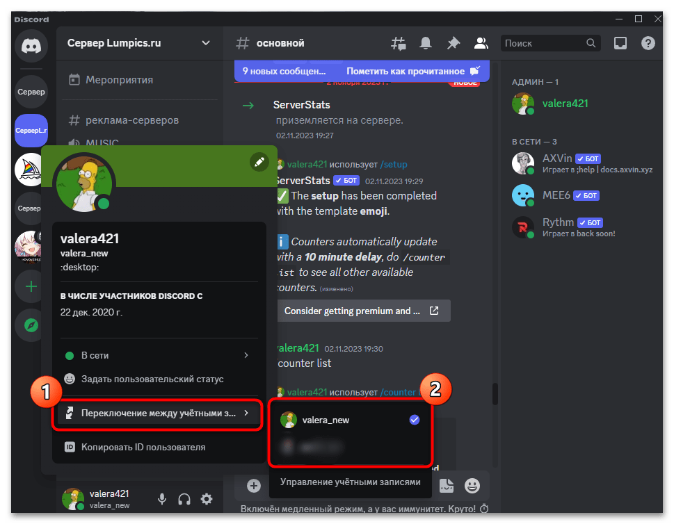 discord_upravlenie_profilyami_5