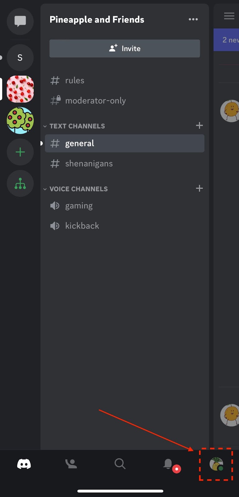 Профиль в мобильном приложении Discord