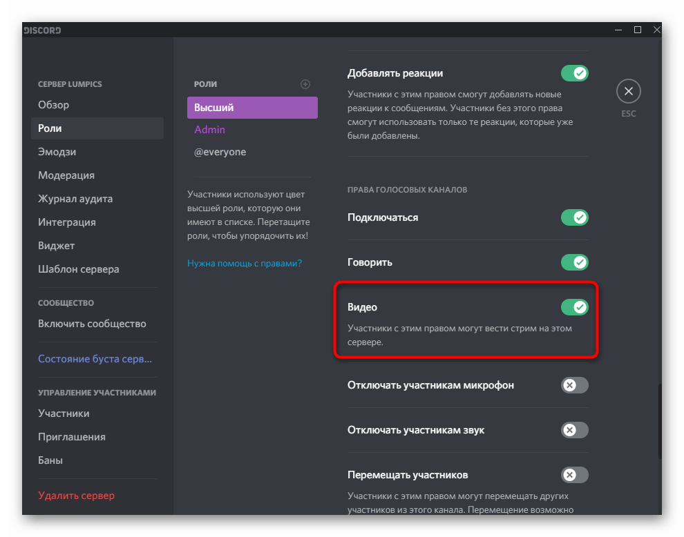 discord_translycii_4
