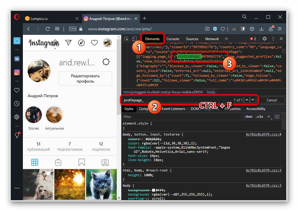 проверка поля идентификатора рядом с ником instagram