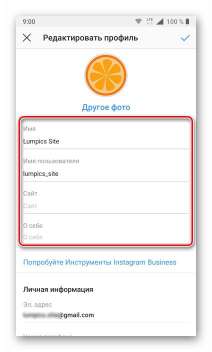поля имени, никнейма и описания профиля instagram
