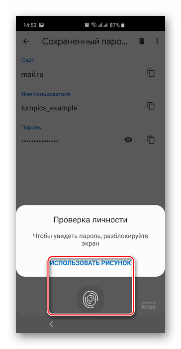 подтверждение личности перед показом пароля