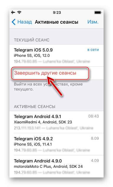 экран iPhone: команда «Завершить другие сеансы» в Telegram