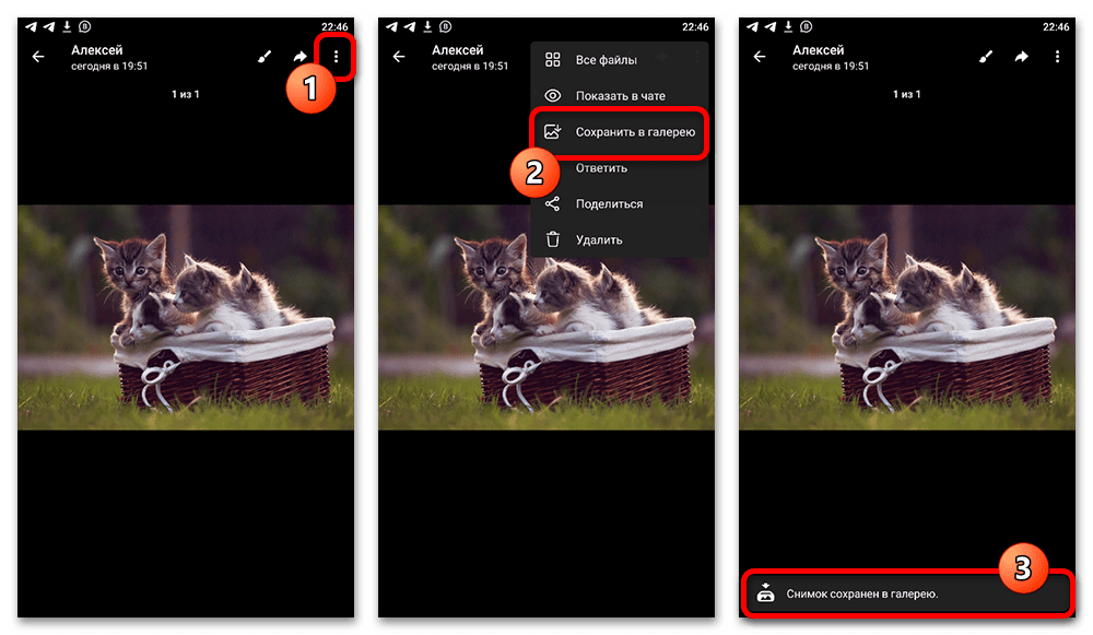 экран Android: меню фотографии с действием &laquo;Сохранить в галерею&raquo;
