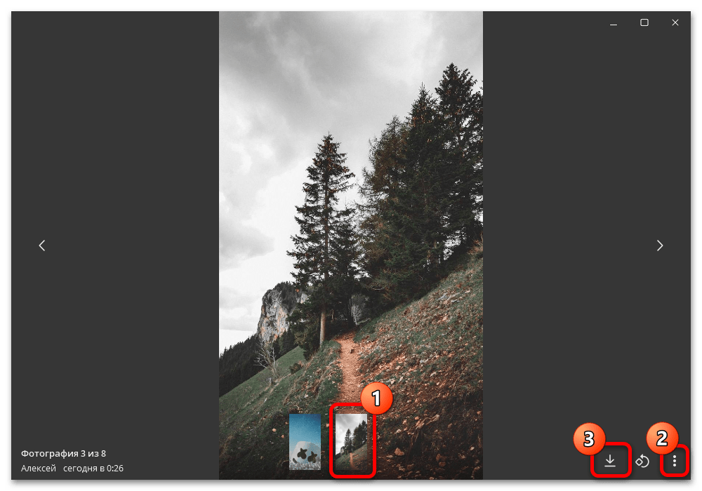 кнопка скачивания открытой фотографии в Telegram Desktop