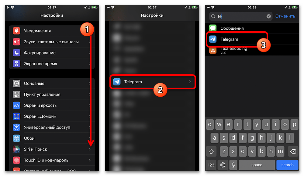 поиск Telegram среди приложений в системных настройках iPhone