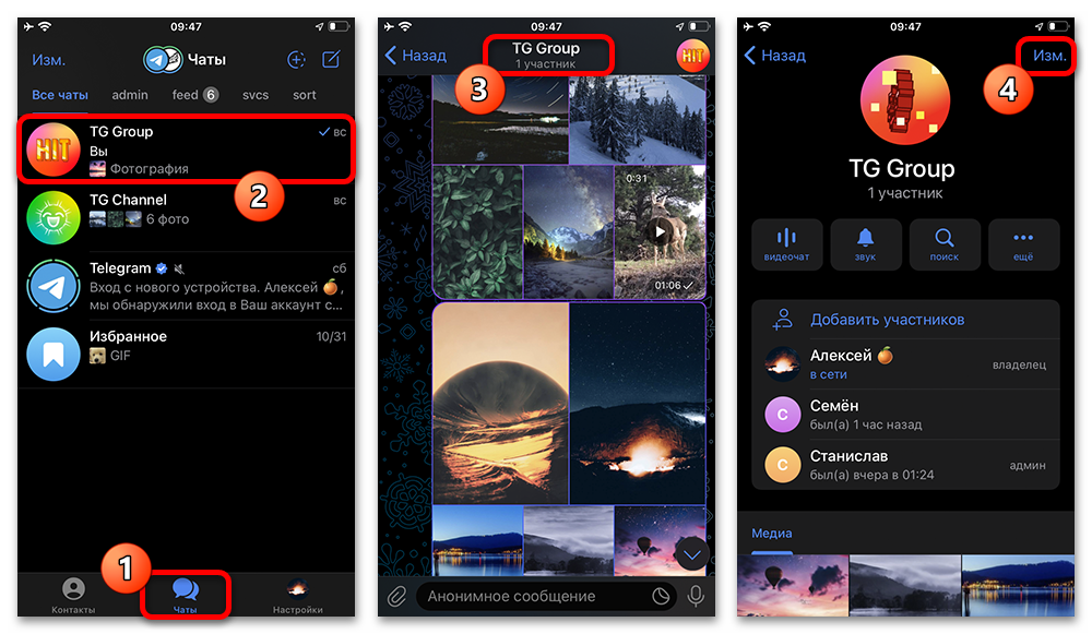 открытие профиля группы из списка чатов Telegram на iPhone