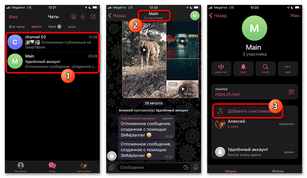 переход из чата группы к её профилю и списку участников в Telegram на iPhone