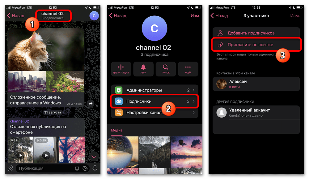 открытие настроек группы и раздела приглашения по ссылке на iPhone