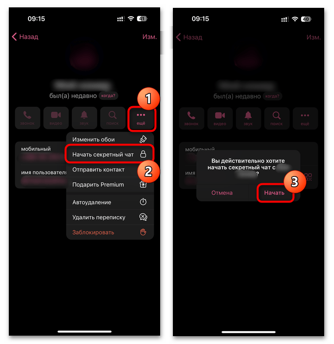 команда начала секретного чата и подтверждение на iPhone