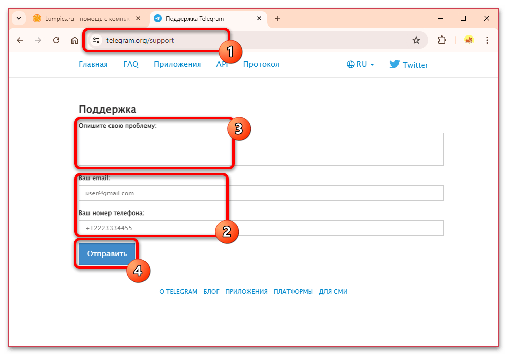 форма поддержки Telegram в браузере с полями вопроса и контактных данных