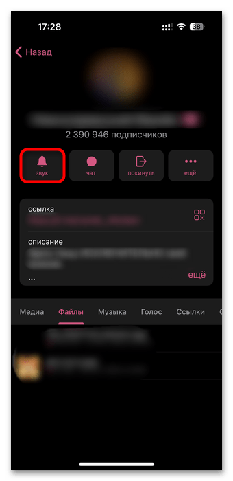 в профиле открыт раздел звука и уведомлений