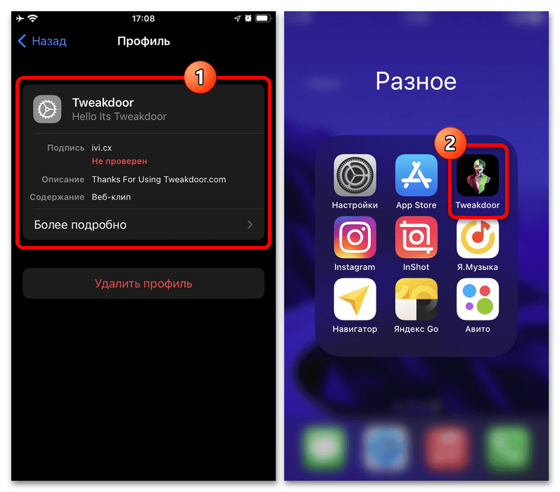 значок приложения TweakDoor на домашнем экране iPhone