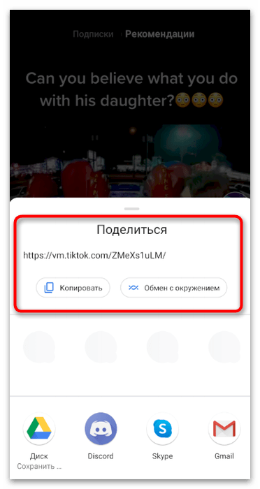 полный адрес ролика и кнопка его копирования