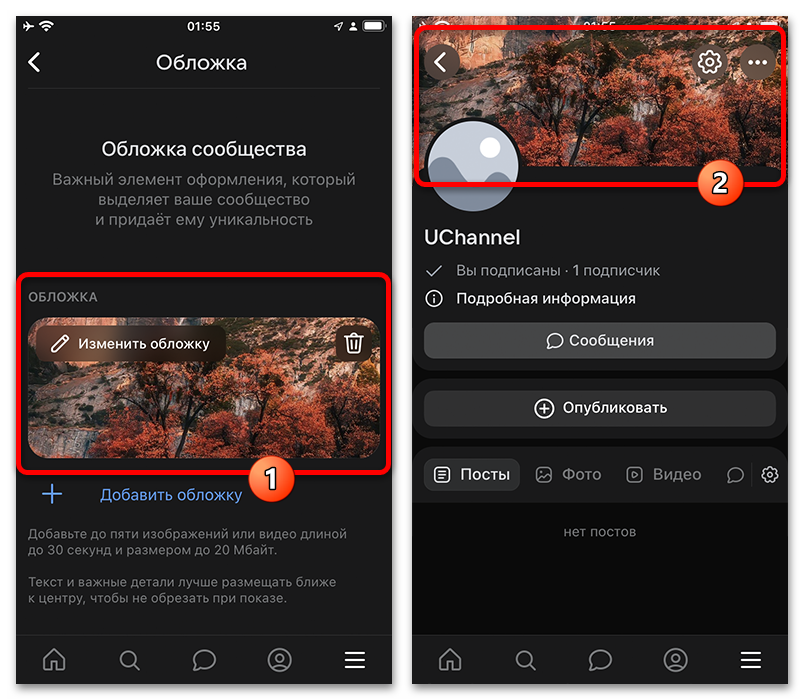 выбор живого формата обложки