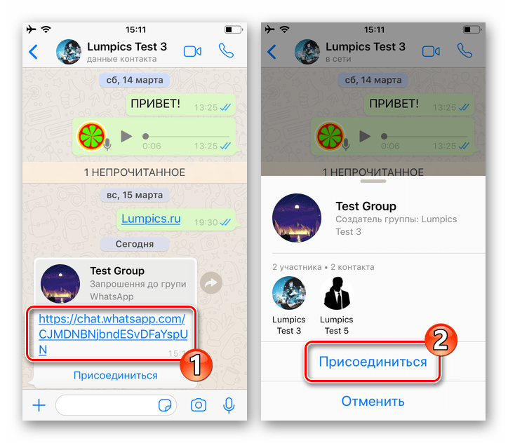 экран группы после открытия ссылки-приглашения на iPhone