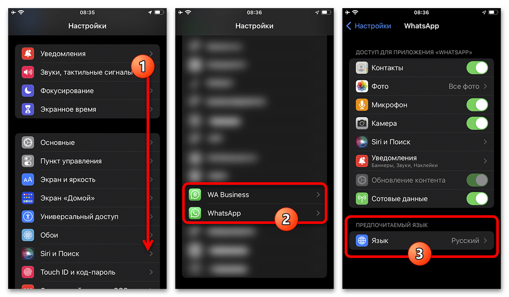 параметры языка WhatsApp в настройках iPhone